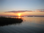 Highlight for Album: Fishing near Cocodrie, Louisiana